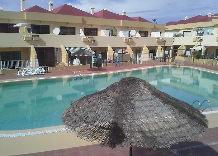 Mare - Joy أذيخي